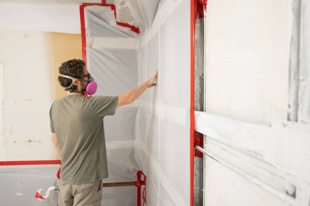 Best Mold Removal for HVAC Installations  in Mount Jackson, VA