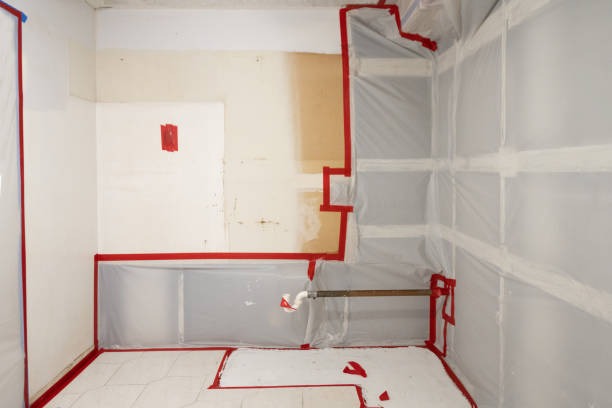 Best Commercial Mold Inspection  in Mount Jackson, VA